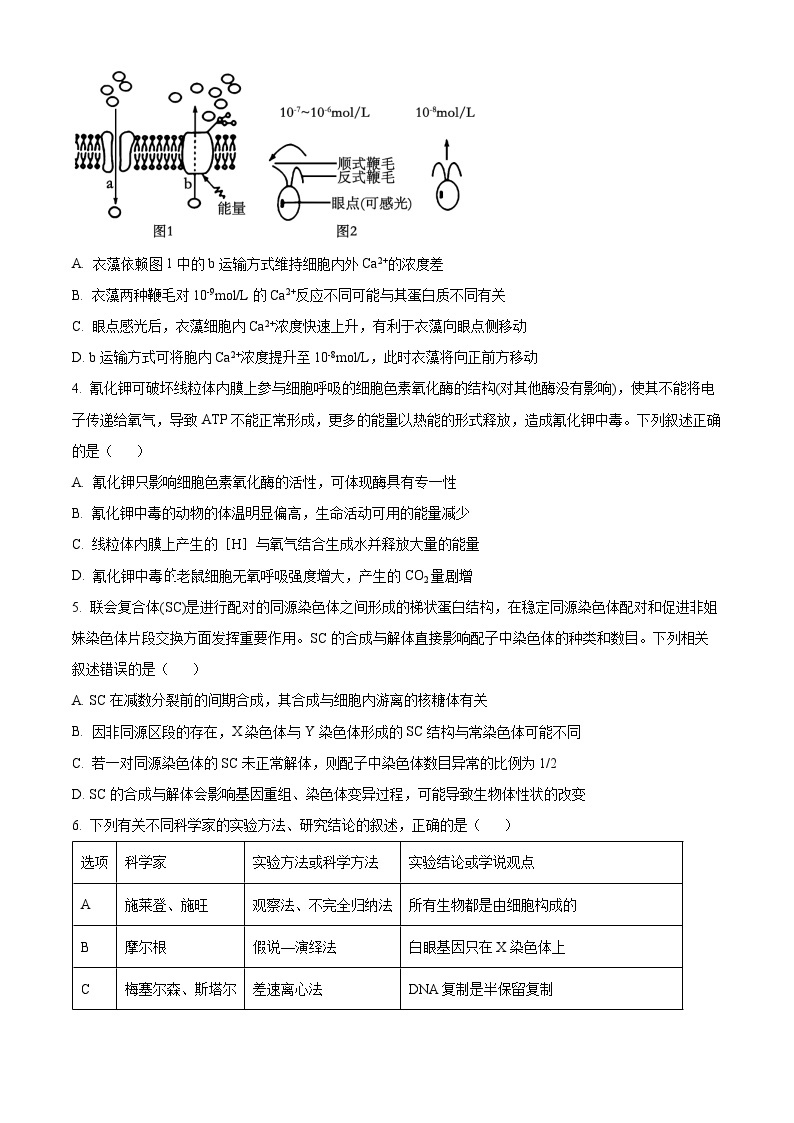 2024邯郸高三下学期第三次调研考试考试（一模）生物含解析02