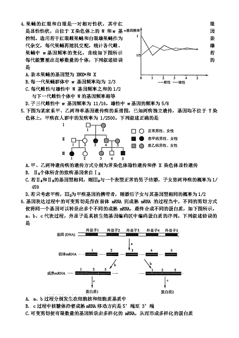 2024年3月济南市高三模拟考试(生物)第2页