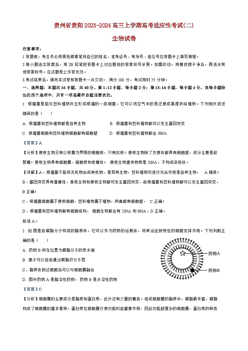 贵州省贵阳2023_2024高三生物上学期高考适应性月考二试题第1页