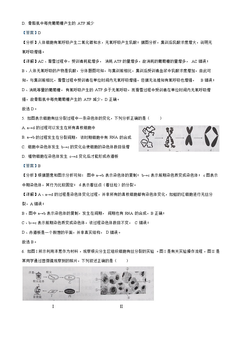 贵州省贵阳2023_2024高三生物上学期高考适应性月考二试题第3页