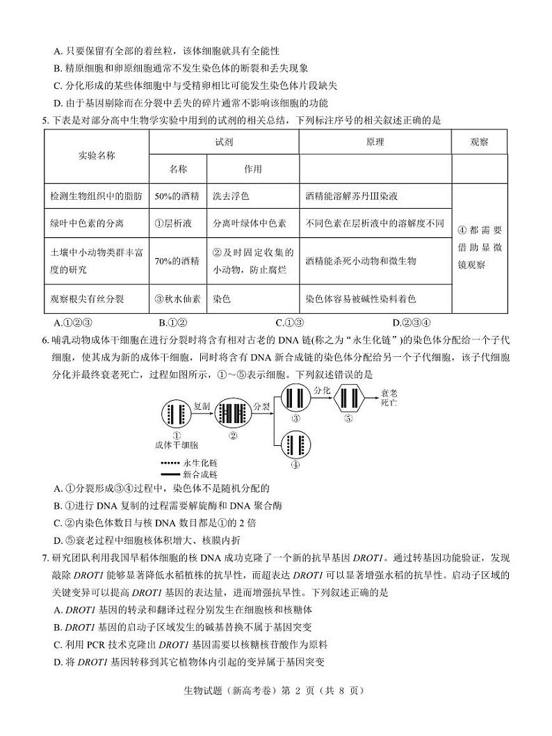 【新高考卷】名校教研联盟2024届高三3月联考 生物第2页