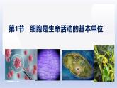 高中生物人教版必修1精品课件1-1细胞是生命活动的基本单位