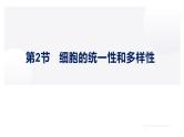 高中生物人教版必修1精品课件1-2细胞的多样性和统一性