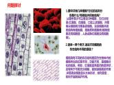 高中生物人教版必修1精品课件1-2细胞的多样性和统一性