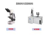 高中生物人教版必修1精品课件1-2细胞的多样性和统一性