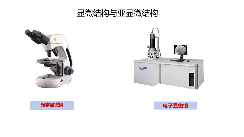 高中生物人教版必修1精品课件1-2细胞的多样性和统一性第4页