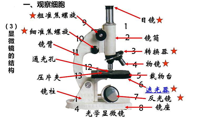 高中生物人教版必修1精品课件1-2细胞的多样性和统一性第6页