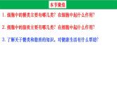 高中生物人教版必修1精品课件2-3细胞中的糖类和脂质2