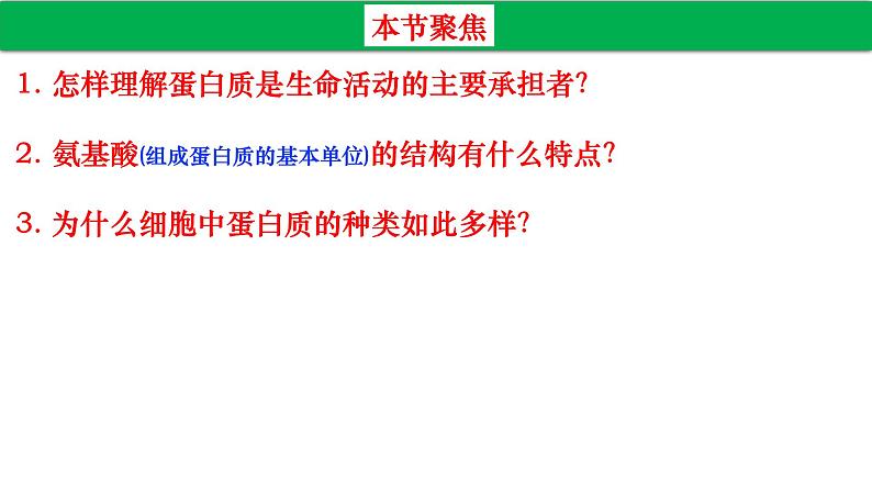 高中生物人教版必修1精品课件2-4蛋白质是生命活动的主要承担者02