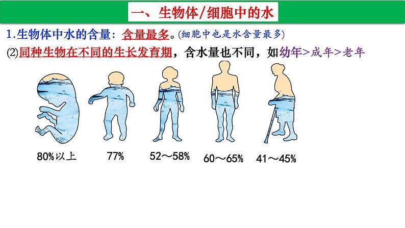 高中生物人教版必修1精品课件2-2细胞中的无机物2第6页