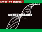 高中生物人教版必修1精品课件2-5核酸是遗传信息的携带者2