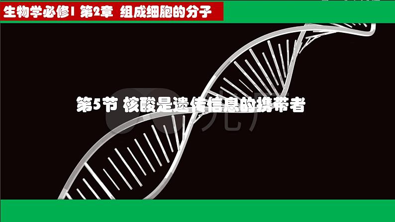 高中生物人教版必修1精品课件2-5核酸是遗传信息的携带者201