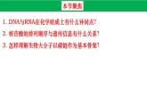 高中生物人教版必修1精品课件2-5核酸是遗传信息的携带者2
