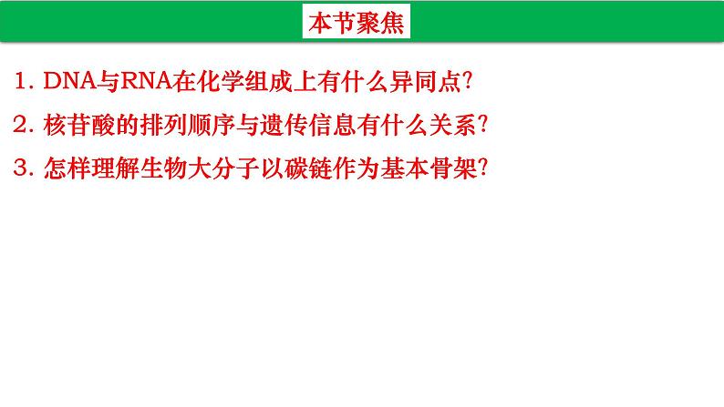 高中生物人教版必修1精品课件2-5核酸是遗传信息的携带者202