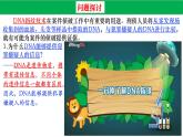 高中生物人教版必修1精品课件2-5核酸是遗传信息的携带者2