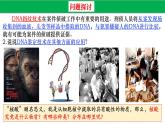 高中生物人教版必修1精品课件2-5核酸是遗传信息的携带者2