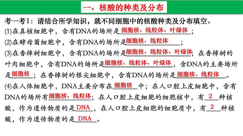 高中生物人教版必修1精品课件2-5核酸是遗传信息的携带者206