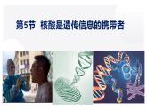 高中生物人教版必修1精品课件2-5核酸是遗传信息的携带者