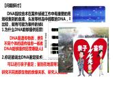 高中生物人教版必修1精品课件2-5核酸是遗传信息的携带者