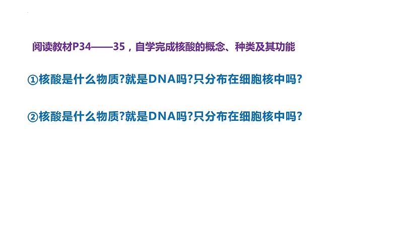 高中生物人教版必修1精品课件2-5核酸是遗传信息的携带者04