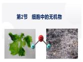 高中生物人教版必修1精品课件2-2细胞中的无机物