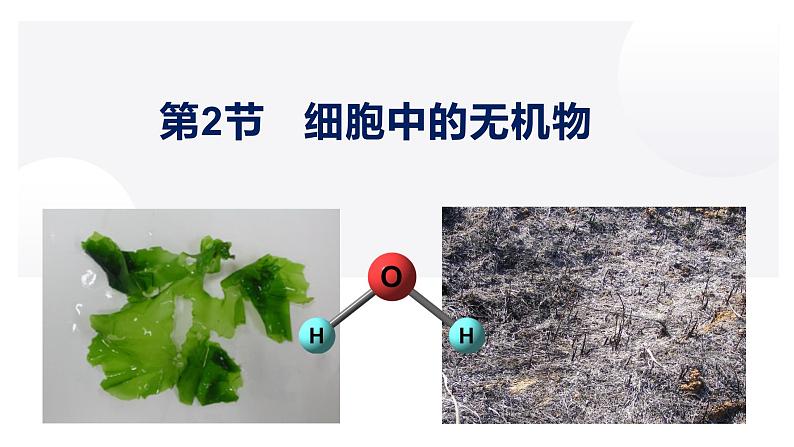 高中生物人教版必修1精品课件2-2细胞中的无机物第1页