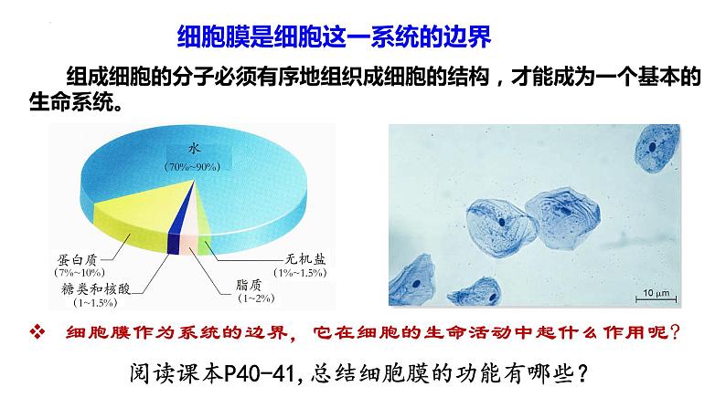 高中生物人教版必修1精品课件3-1细胞膜的结构和功能02