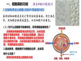 高中生物人教版必修1精品课件3-1细胞膜的结构和功能