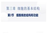 高中生物人教版必修1精品课件3-3细胞核的结构和功能