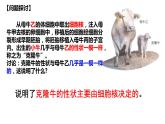 高中生物人教版必修1精品课件3-3细胞核的结构和功能