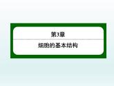 高中生物人教版必修1精品课件3-2细胞器之间的分工合作