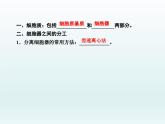 高中生物人教版必修1精品课件3-2细胞器之间的分工合作