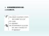 高中生物人教版必修1精品课件3-2细胞器之间的分工合作