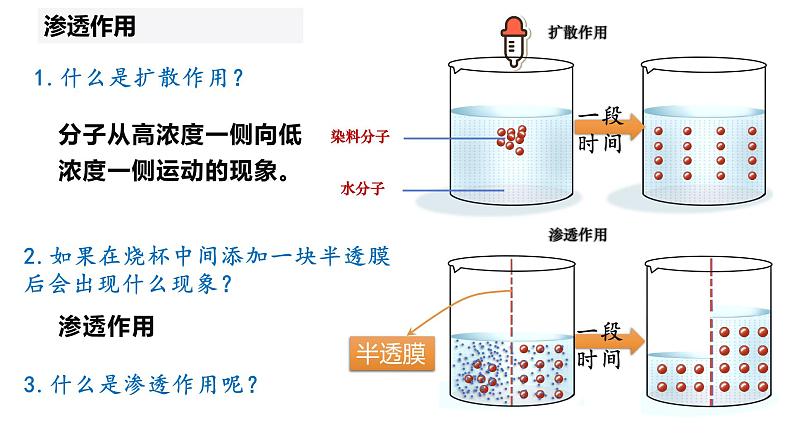 高中生物人教版必修1精品课件4-1被动运输04