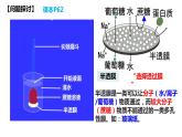 高中生物人教版必修1精品课件4-1被动运输