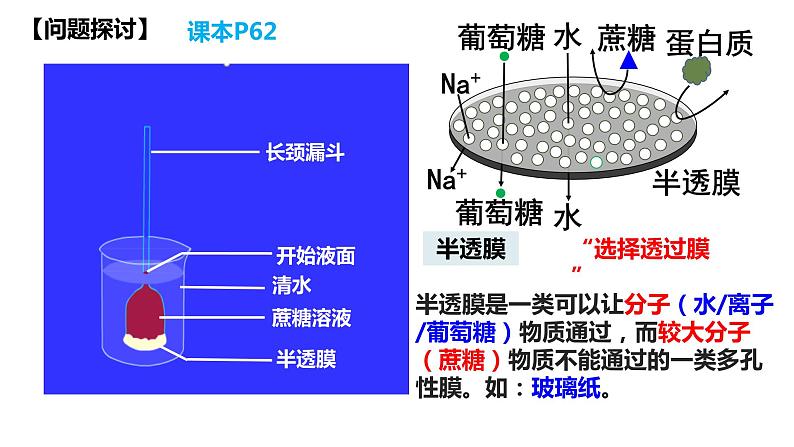 高中生物人教版必修1精品课件4-1被动运输05