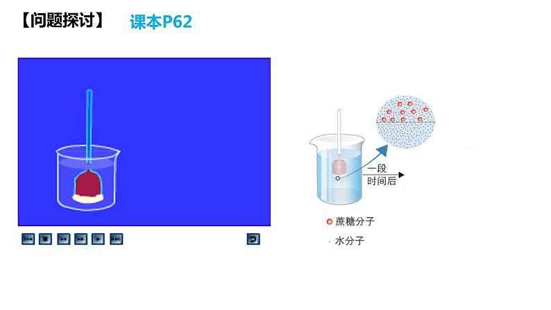 高中生物人教版必修1精品课件4-1被动运输06