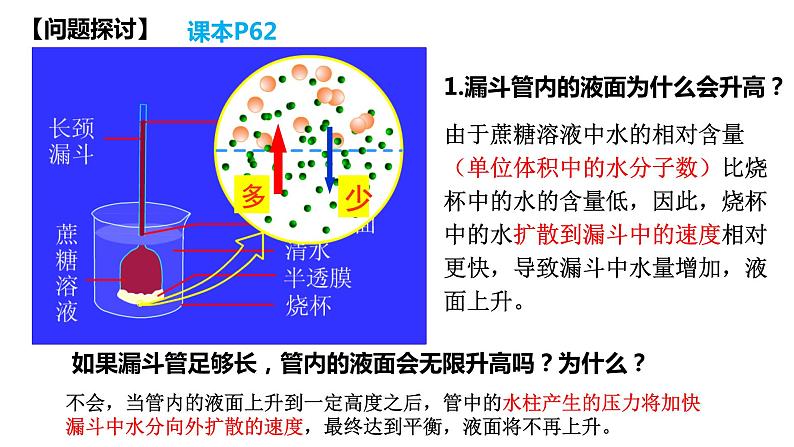 高中生物人教版必修1精品课件4-1被动运输08