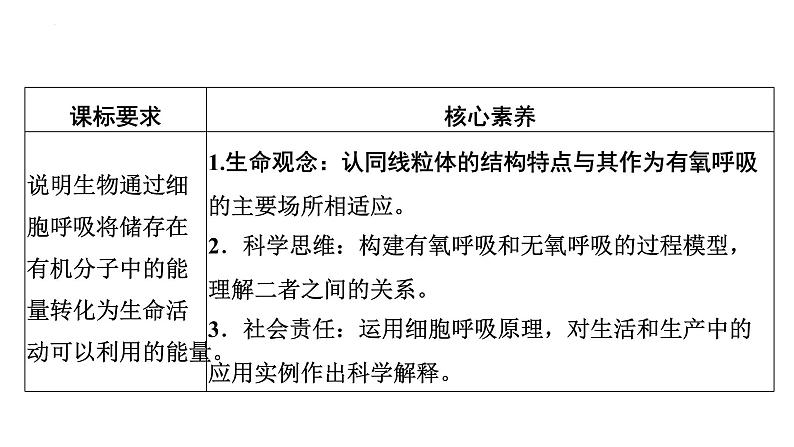 高中生物人教版必修1精品课件5-3细胞呼吸的原理和应用02