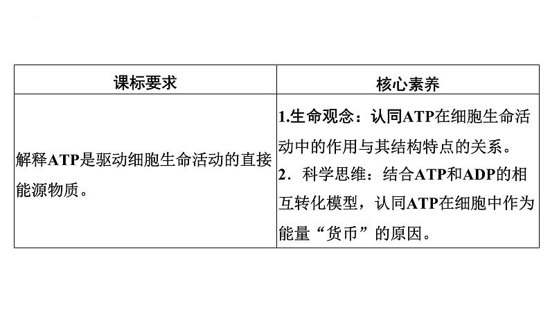 高中生物人教版必修1精品课件5-2细胞的能量“货币”ATP02