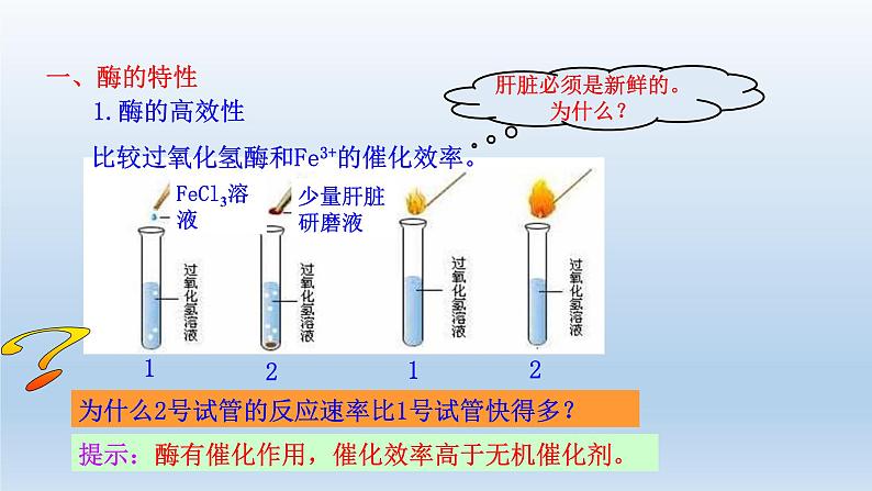 高中生物人教版必修1精品课件5-1-2酶的特性06