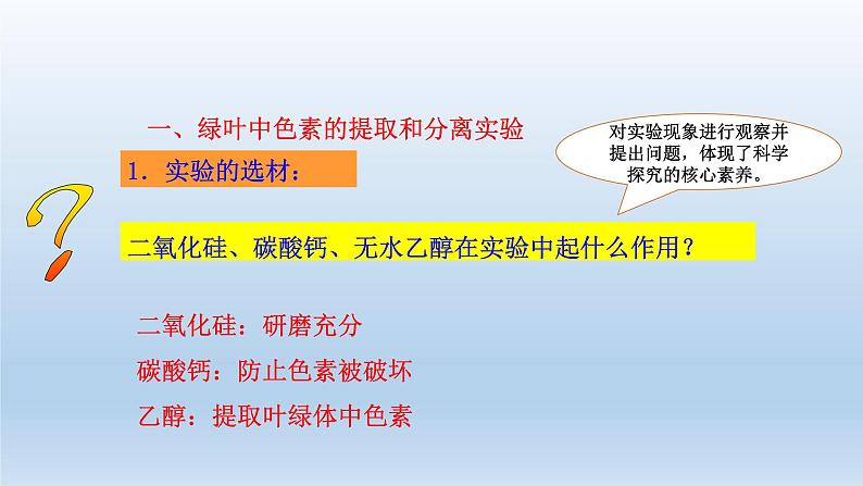 高中生物人教版必修1精品课件5-4-1捕获光能的色素和结构第5页