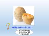 高中生物人教版必修1精品课件5-4-2光合作用的原理和应用