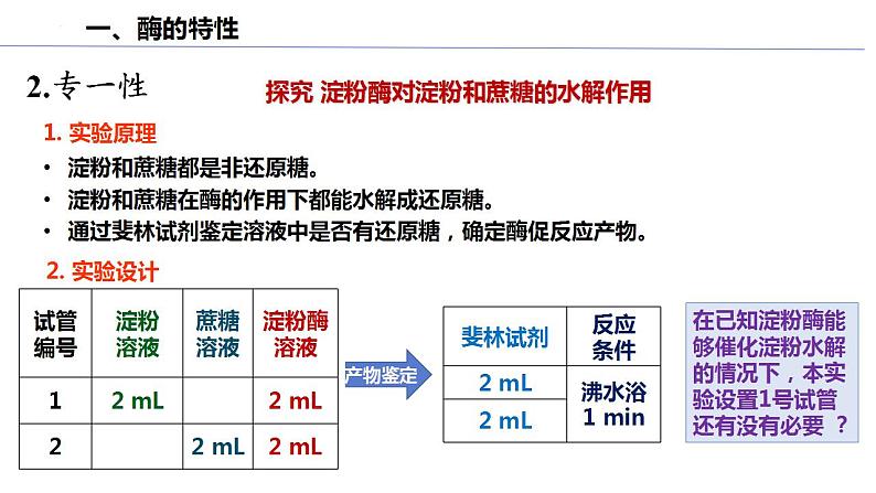 高中生物人教版必修1精品课件5-1降低化学反应活化能的酶（第2课时）06