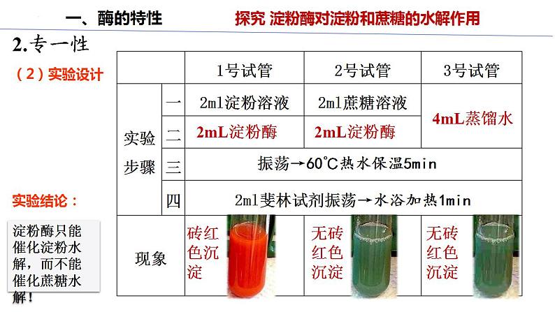 高中生物人教版必修1精品课件5-1降低化学反应活化能的酶（第2课时）07