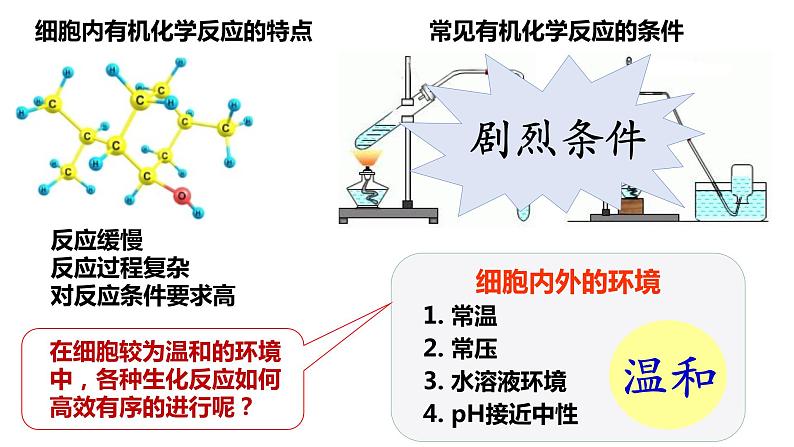 高中生物人教版必修1精品课件5-1降低化学反应活化能的酶（第1课时）第7页