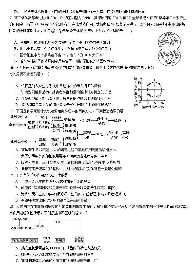 2024届浙江省宁波市高三二模模拟考试生物试题第3页