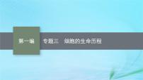 新高考新教材2024届高考生物二轮总复习专题三细胞的生命历程课件