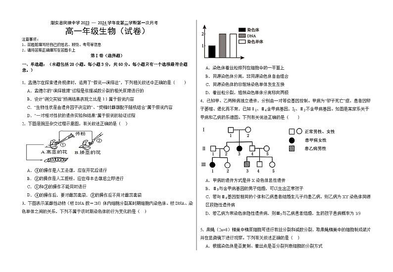广东省潮州市潮安区2023-2024学年高一下学期第一次月考生物试题01