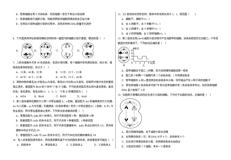 广东省潮州市潮安区2023-2024学年高一下学期第一次月考生物试题02